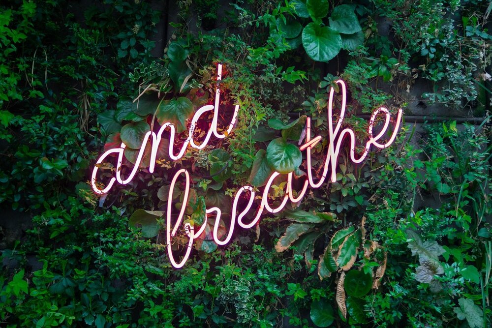 Check out our latest BodyTalk blog: Body Positivity and the Practice of Breathing by Mary Lu Hare. BodyTalk link in bio🌈⁣
⁣
&quot;Seriously: when we practice breathing, we are showing love to our body. We are giving our body the goodness that it needs and saying &quot;Hey body. I see you. You are doing good today.&quot;⁣
⁣
.⁣
⁣
.⁣
⁣
.⁣
⁣
⁣
#breathing #bewell #wellness #loveyourself⁣
#mindfulness #bodytalk #wellstrength #strengthtraining #movement #powerlifter #girlswholift #barreabove #youmatter #intothewellcollective #abundance #bodypostitivity